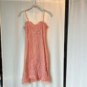 Betsey Johnson Pink Vintage Lace Dress